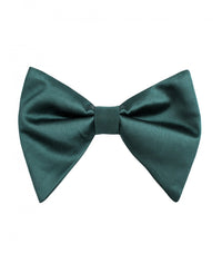 Thumbnail for Brand Q Large Bow Ties for Prom