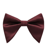 Thumbnail for Brand Q Large Bow Ties for Prom