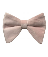 Thumbnail for Brand Q Large Velvet Bow Ties for Prom