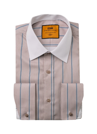 Steven Land Brown Stripe Spread Collar French Cuff Wrinkle & Shrink Free Dress Shirt