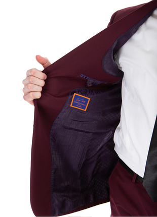 Raphael Mens Solid Burgundy Slim Fit Suit