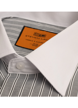 Steven Land Black Striped Spread Collar Wrinkle & Shrink Free Cotton Dress Shirt - The Suit Depot
