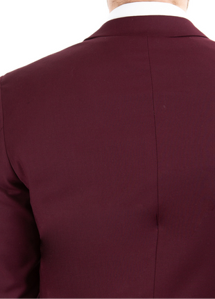 Raphael Mens Solid Burgundy Slim Fit Suit