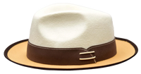 Thumbnail for Mens Cream & Camel The outcast Felt Hat