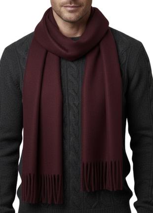 Tovaglia Mens Solid Cashmere Fringe Scarf