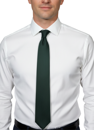 Letteriello Green Silk Neck Tie