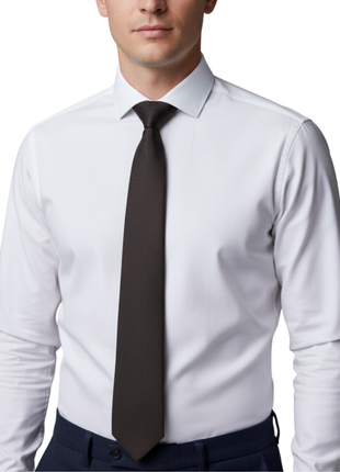 Letteriello Brown Silk Neck Tie