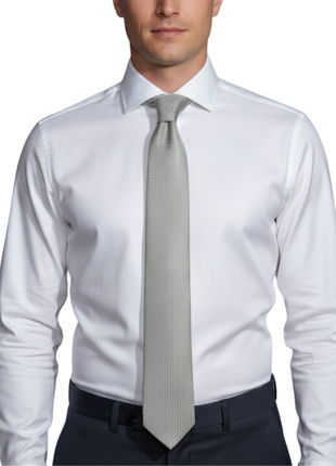 Letteriello Light Green Silk Neck Tie