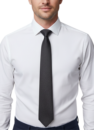 Letteriello Dark Brown Silk Neck Tie