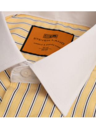 Steven Land Yellow Striped Spread Collar Wrinkle & Shrink Free Cotton Dress Shirt - The Suit Depot