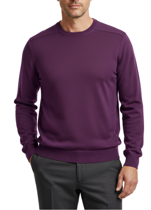 Proper Sport Mens Purple Regular Fit Crew Neck Cotton Silk Knit Sweater