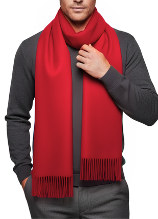 Tovaglia Mens Solid Cashmere Fringe Scarf