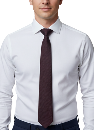 Letteriello Wine Silk Neck Tie