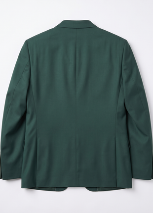 Raphael Mens Solid Green Regular Fit Two Button Suit