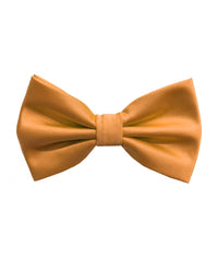 Thumbnail for Brand Q Bow Ties for Prom