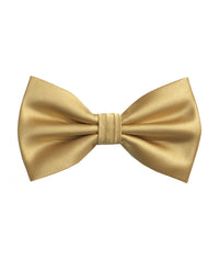 Thumbnail for Brand Q Bow Ties for Prom