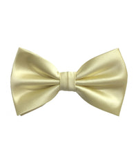 Thumbnail for Brand Q Bow Ties for Prom