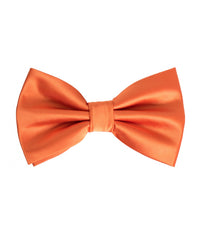 Thumbnail for Brand Q Bow Ties for Prom