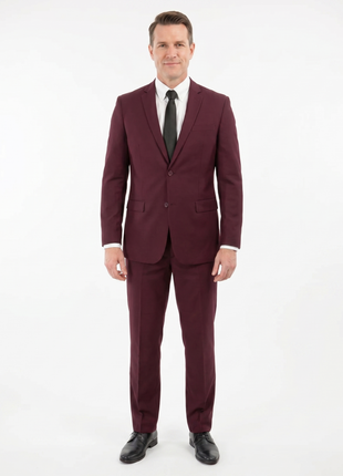 Raphael Mens Solid Burgundy Slim Fit Suit - The Suit Depot