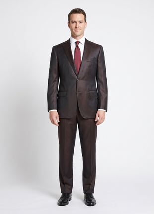 Blujacket Mens Solid Dark Brown Regular Fit Reda Wool 2 Button Suit